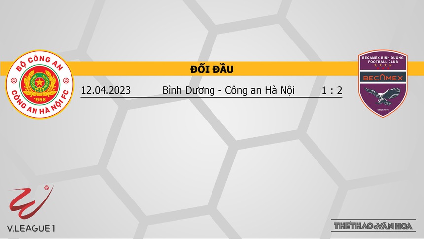 Nhận định bóng đá CAHN vs Bình Dương (19h15, 26/12), V-League vòng 8 - Ảnh 3. Nhận định bóng đá CAHN vs Bình Dương (19h15, 26/12), V-League vòng 8 - Ảnh 3.