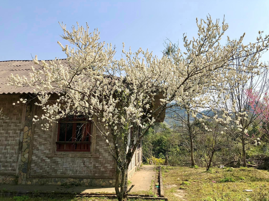 Những điểm đến tại miền Bắc không thể bỏ qua với du khách dịp Tết 2024 - Ảnh 1. Những điểm đến tại miền Bắc không thể bỏ qua với du khách dịp Tết 2024 - Ảnh 1.