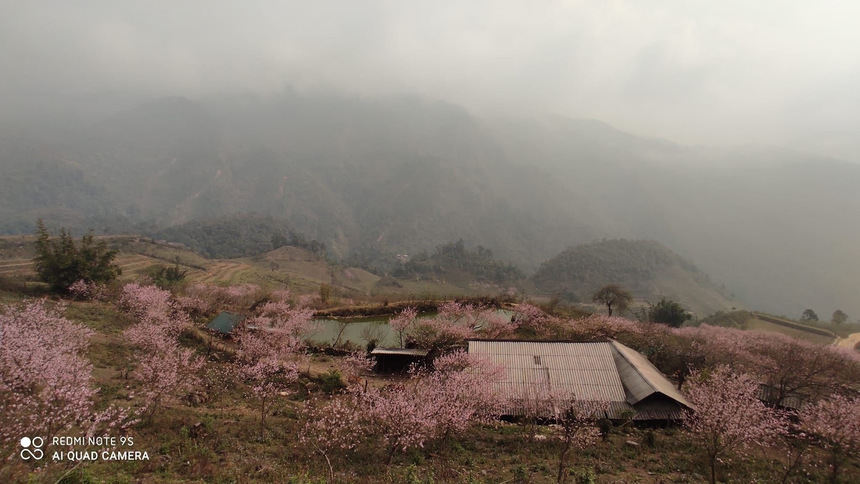 Những điểm đến tại miền Bắc không thể bỏ qua với du khách dịp Tết 2024 - Ảnh 2. Những điểm đến tại miền Bắc không thể bỏ qua với du khách dịp Tết 2024 - Ảnh 2.