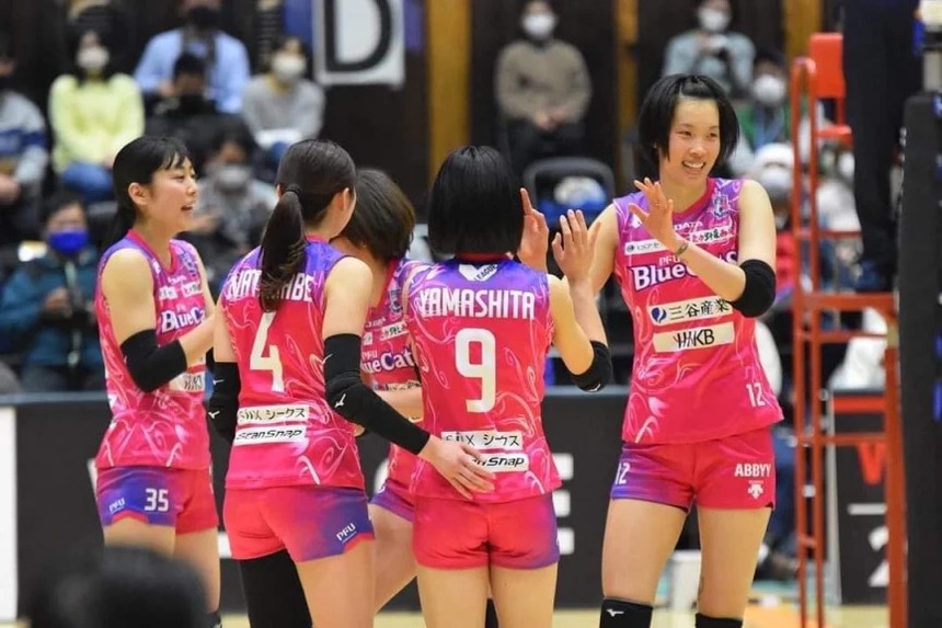 Link xem trực tiếp bóng chuyền Thanh Thúy thi đấu: PFU Blue Cats vs NEC Red Rockets (8h00 hôm nay) - Ảnh 2.