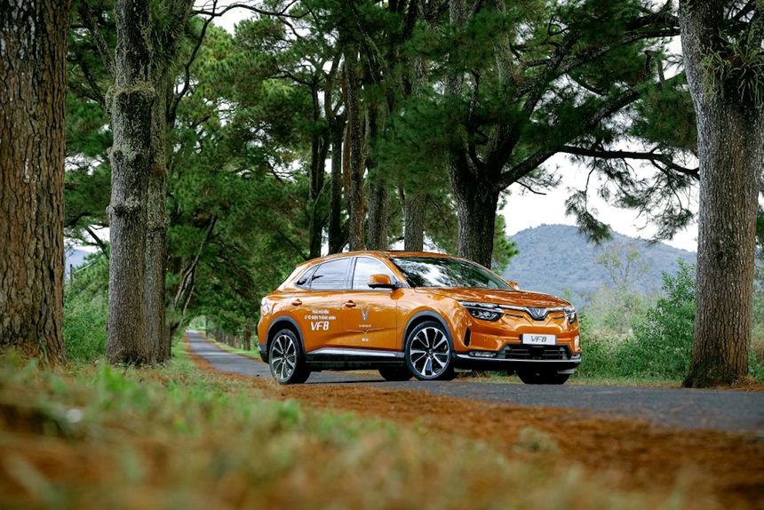 2022 mạnh như hổ, 2023 êm như... mèo? - Ảnh 2.