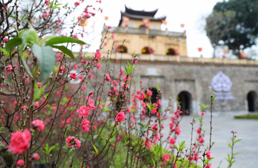 Ban hành Đề án về tổ chức kỷ niệm 80 năm ra đời Đề cương về văn hóa Việt Nam (1943 - 2023) - Ảnh 1.