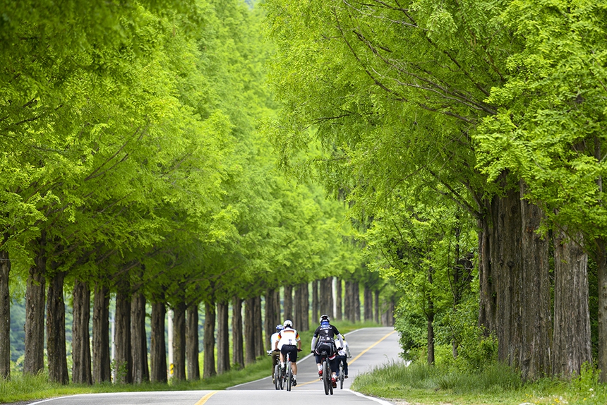 Jeollbuk-do - Hàn Quốc: Điểm đến văn hoá - ẩm thực hấp dẫn du khách Việt - Ảnh 7.