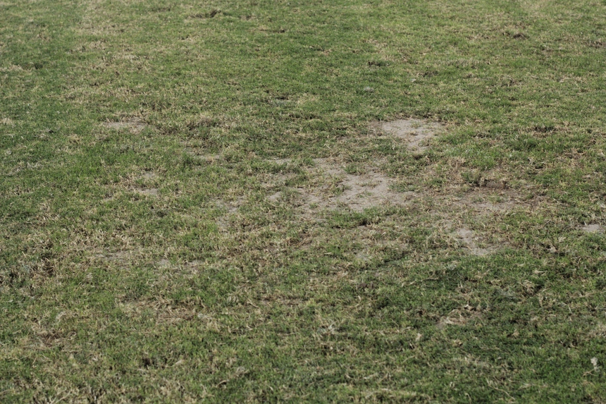 Mặt cỏ sân nhiều đội kém chất lượng, CĐV ví V-League như giải cấp làng - Ảnh 3.