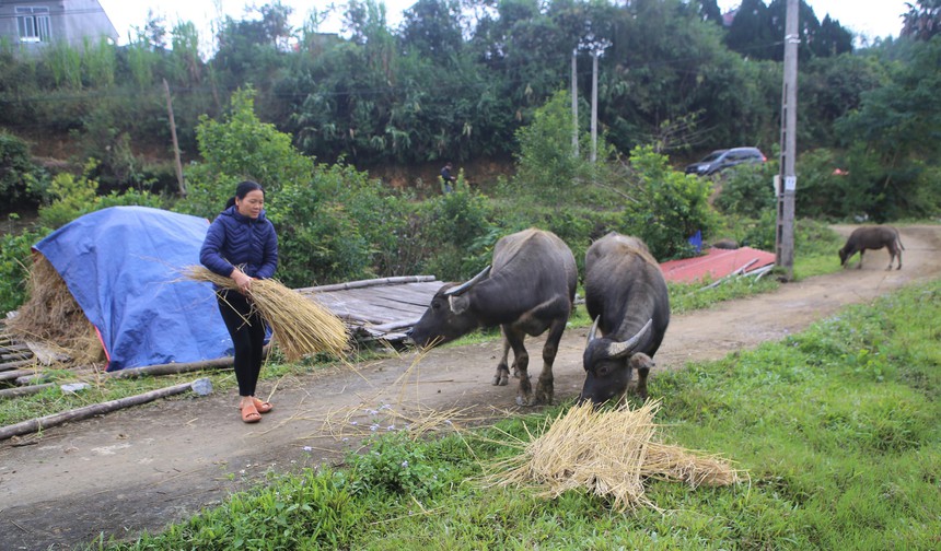 Bắc Bộ trời chuyển rét, vùng núi có nơi rét đậm - Ảnh 1.