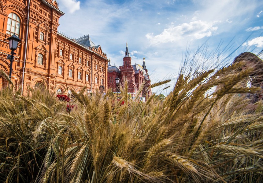 Nga viện trợ 25.000 tấn lúa mì cho Cuba - Ảnh 1.