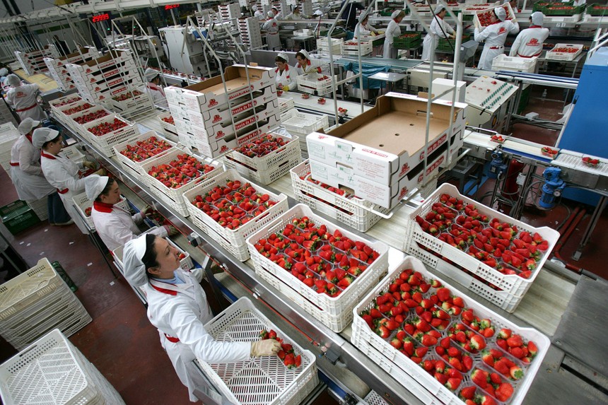 Quốc hội Tây Ban Nha ủng hộ dự luật cho phép lao động nữ nghỉ làm vào kỳ 'nguyệt san' - Ảnh 1. Quốc hội Tây Ban Nha ủng hộ dự luật cho phép lao động nữ nghỉ làm vào kỳ 'nguyệt san' - Ảnh 1.