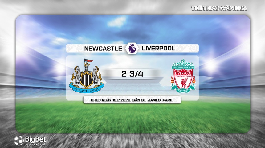 Nhận định, soi kèo Newcastle vs Liverpool (00h30, 19/2), Ngoại hạng Anh vòng 24  - Ảnh 9.