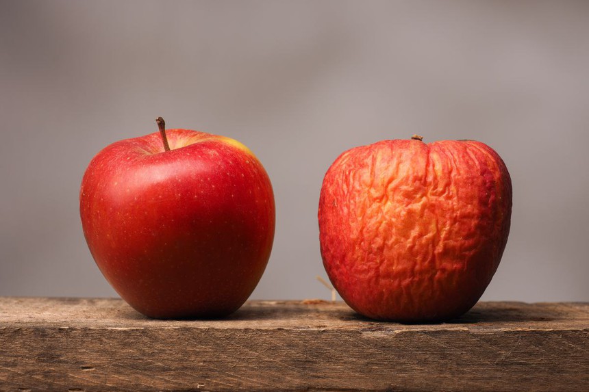 10 năm 'vắt sức' cống hiến nhưng sếp không tăng lương, hỏi ra mới biết: Muốn thành công, bạn buộc phải thấu đáo 5 tư duy này
 - Ảnh 2.