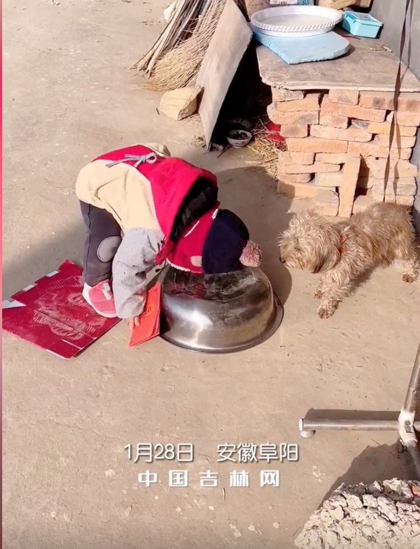 Nhận được lì xì từ mẹ, cậu bé ngay lập tức tặng lại cho cún cón và hành động sau đó của chú chó mới khiến nhiều người cảm động - Ảnh 1. Nhận được lì xì từ mẹ, cậu bé ngay lập tức tặng lại cho cún cón và hành động sau đó của chú chó mới khiến nhiều người cảm động - Ảnh 1.