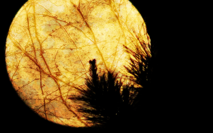 Tết Nguyên tiêu trong tâm thức người Việt: Rằm đầu tiên của năm mới, ngày mà mọi người nguyện ước điều lành cho cả năm tấn tài tấn lộc - Ảnh 1.