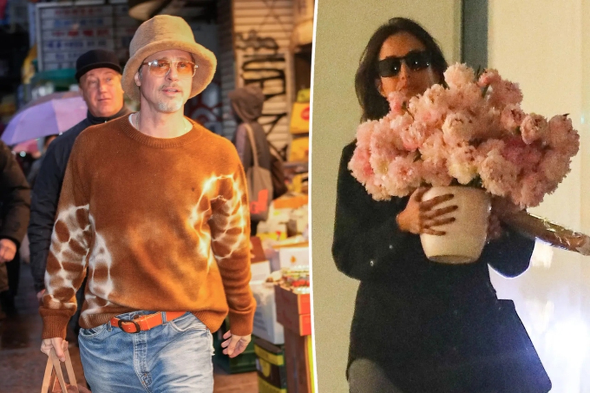 Tình mới của Brad Pitt chính thức đệ đơn ly hôn chồng cũ - Ảnh 5.