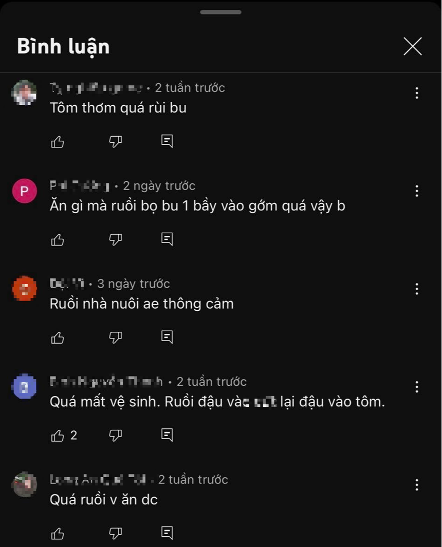 Mời mẹ ăn mâm tôm hùm nhưng ruồi nhặng bay đầy, TikToker ‘Thánh ăn cay’ bị CĐM chê mất vệ sinh - Ảnh 3.