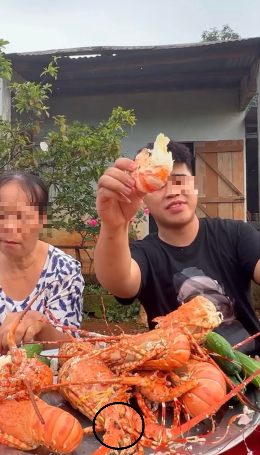 Mời mẹ ăn mâm tôm hùm nhưng ruồi nhặng bay đầy, TikToker ‘Thánh ăn cay’ bị CĐM chê mất vệ sinh - Ảnh 1.