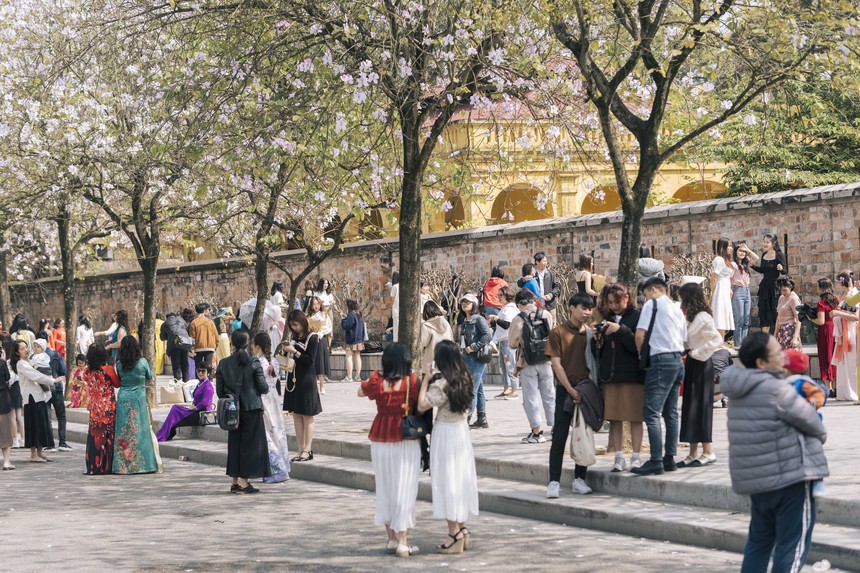 Đông nghịt người kéo đến "con đường hoa ban tím" ở Hà Nội trong ngày cuối tuần, đúng là trời nắng đẹp có khác! - Ảnh 6.