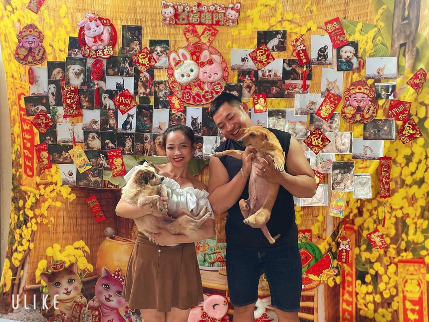 Yêu 12 năm mới cưới, cặp đôi mang tiếng bất hiếu vì chọn không sinh con để chăm sóc cho 450 chú chó mèo - Ảnh 7. Yêu 12 năm mới cưới, cặp đôi mang tiếng bất hiếu vì chọn không sinh con để chăm sóc cho 450 chú chó mèo - Ảnh 7.