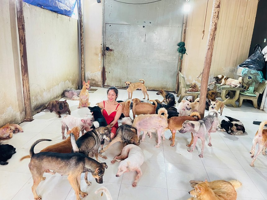 Yêu 12 năm mới cưới, cặp đôi mang tiếng bất hiếu vì chọn không sinh con để chăm sóc cho 450 chú chó mèo - Ảnh 5. Yêu 12 năm mới cưới, cặp đôi mang tiếng bất hiếu vì chọn không sinh con để chăm sóc cho 450 chú chó mèo - Ảnh 5.