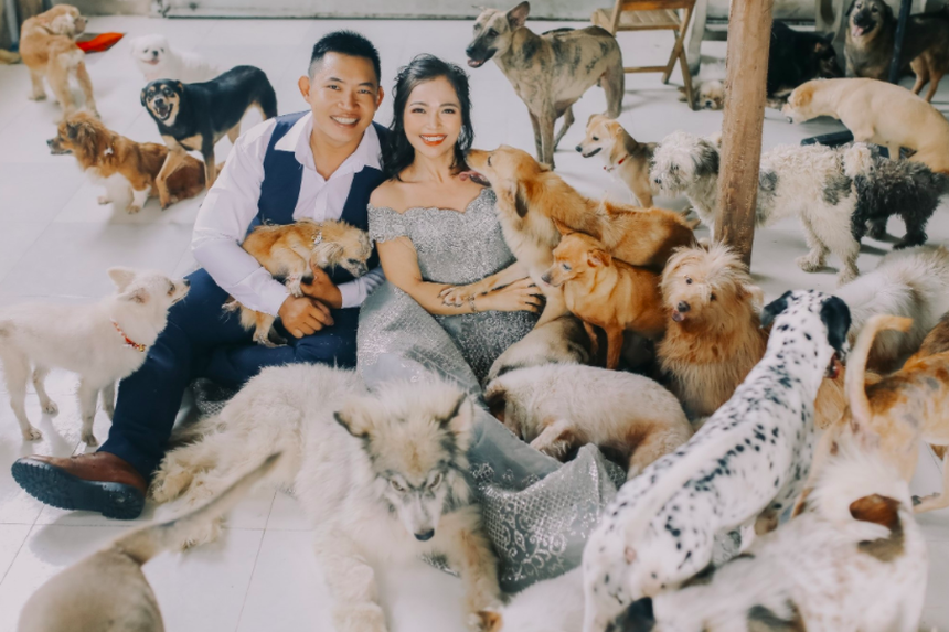 Yêu 12 năm mới cưới, cặp đôi mang tiếng bất hiếu vì chọn không sinh con để chăm sóc cho 450 chú chó mèo - Ảnh 4. Yêu 12 năm mới cưới, cặp đôi mang tiếng bất hiếu vì chọn không sinh con để chăm sóc cho 450 chú chó mèo - Ảnh 4.