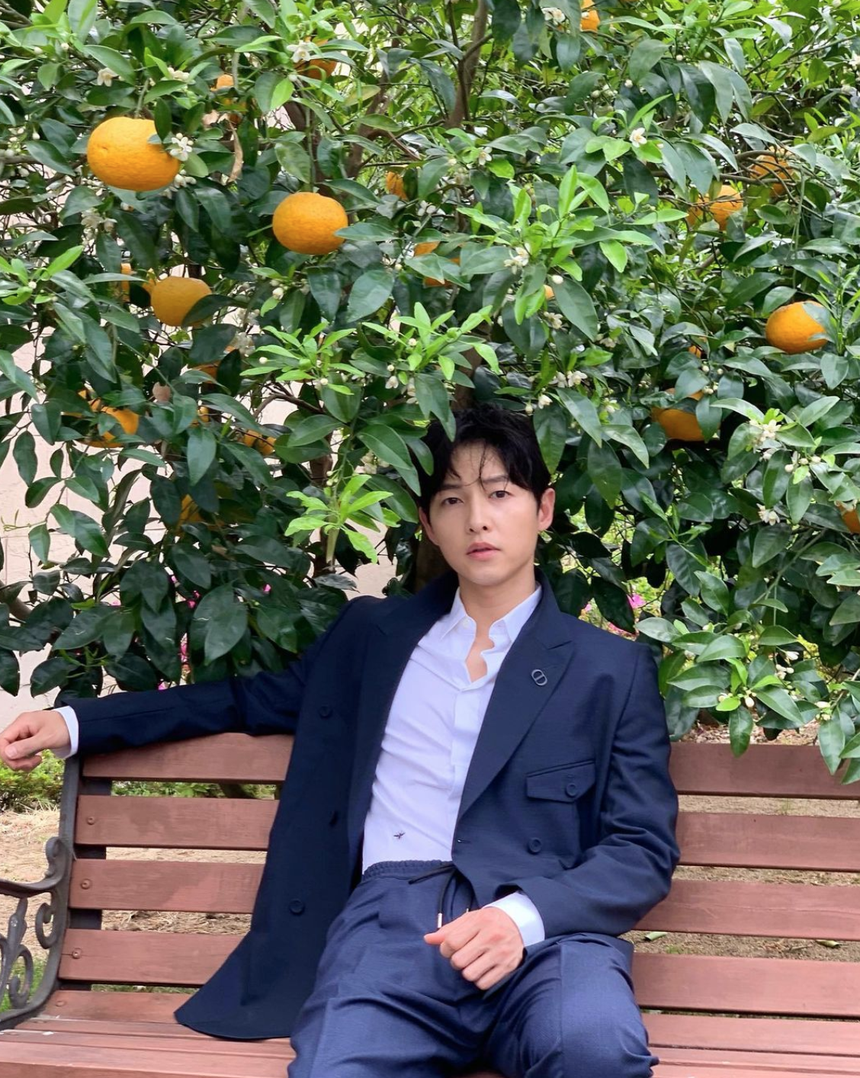 Song Joong Ki đã hạnh phúc rồi, đã đến lúc buông tha cho Song Hye Kyo - Ảnh 4.