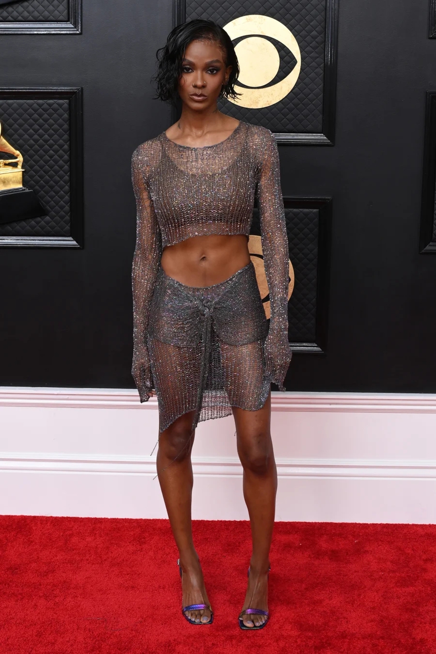 Grammy 2023: Xen lẫn những bộ cánh kiều diễm là loạt 'tệ phẩm' khiến người đời ám ảnh - Ảnh 11.