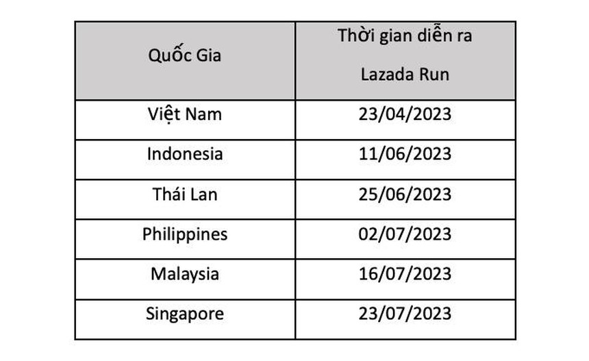 Việt Nam tổ chức giải chạy trên 6 nước Đông Nam Á - Ảnh 3.
