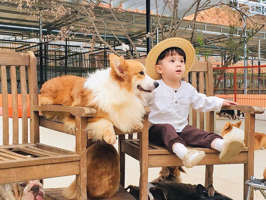 Giá vé máy bay Sài Gòn Đà Lạt - Cùng Traveloka khám phá Đà Lạt - Ảnh 4. Giá vé máy bay Sài Gòn Đà Lạt - Cùng Traveloka khám phá Đà Lạt - Ảnh 4.