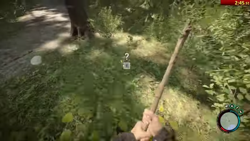 Mới ra mắt, Sons of the Forest đã có cao thủ, phá đảo trò chơi trong chưa đầy 8 phút - Ảnh 2.