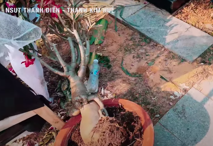 Phần mộ của một cố nghệ sĩ gãy mái, hư hỏng vì bị người dân giẫm đạp lúc đưa tang NSƯT Vũ Linh - Ảnh 5.