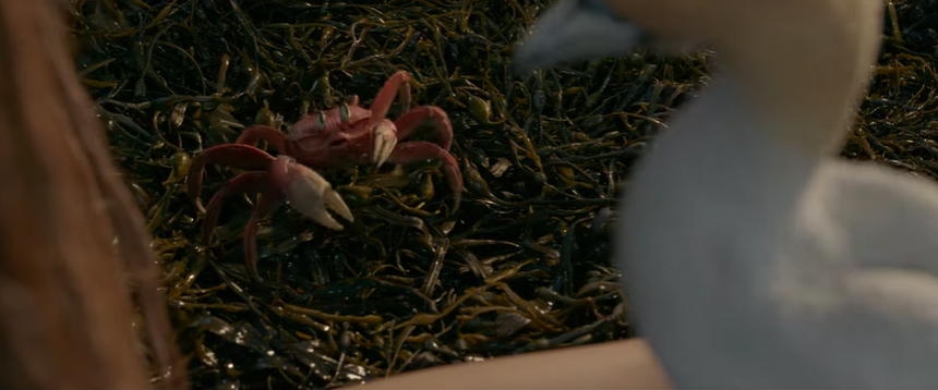 Quá ngán ngẩm với nhan sắc 'tiên cá da màu' Disney ở trailer mới: Bị so sánh với cướp biển, giờ diễn xuất cũng tranh cãi nốt? - Ảnh 10.