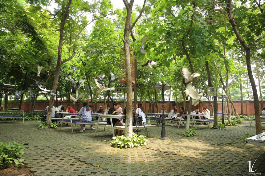 Có một ngôi trường khuôn viên cực xịn, sinh viên còn toàn trai xinh gái đẹp: Lên đồ đi học mà như lên sàn runway! - Ảnh 9. Có một ngôi trường khuôn viên cực xịn, sinh viên còn toàn trai xinh gái đẹp: Lên đồ đi học mà như lên sàn runway! - Ảnh 9.