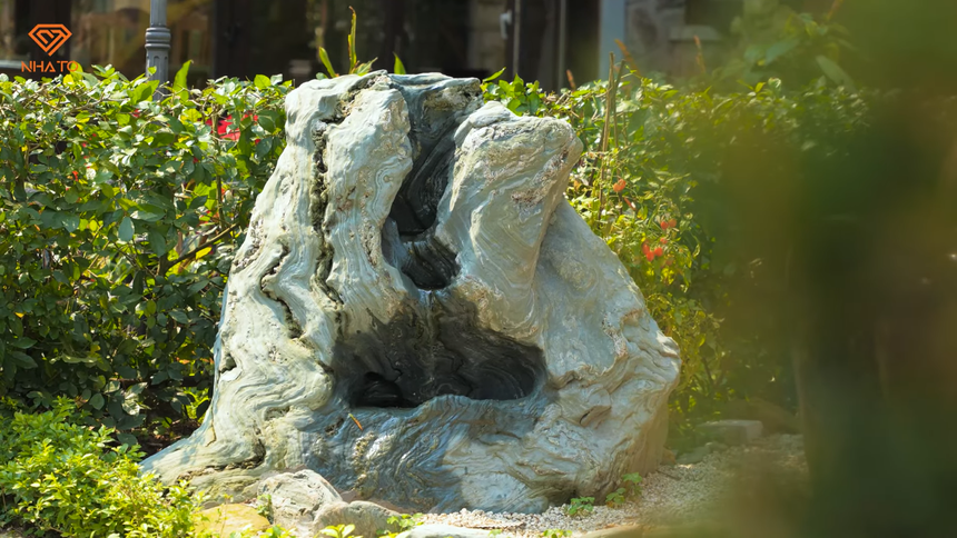 Khu vườn bao quanh căn biệt thự của phó chủ tịch: Có cây dài đến 12m, tuổi thọ lên tới 450 năm - Ảnh 5. Khu vườn bao quanh căn biệt thự của phó chủ tịch: Có cây dài đến 12m, tuổi thọ lên tới 450 năm - Ảnh 5.