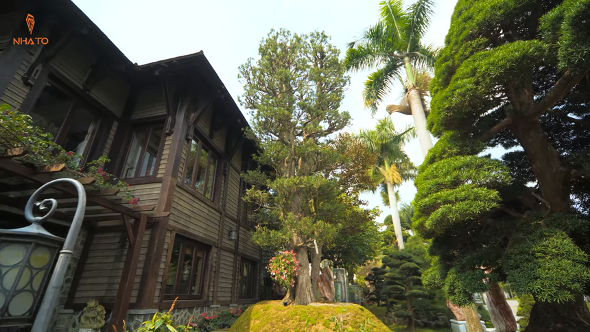 Khu vườn bao quanh căn biệt thự của phó chủ tịch: Có cây dài đến 12m, tuổi thọ lên tới 450 năm - Ảnh 17. Khu vườn bao quanh căn biệt thự của phó chủ tịch: Có cây dài đến 12m, tuổi thọ lên tới 450 năm - Ảnh 17.