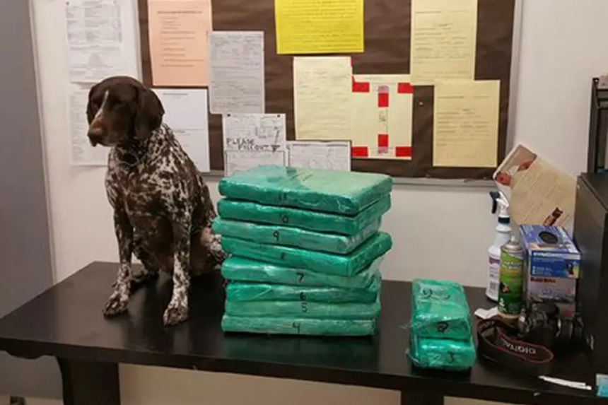 Thế giới từng xảy ra nhiều vụ tiếp viên hàng không vận chuyển chất cấm khi đi qua sân bay, nhờ đặc quyền này mà nhiều người dám "làm liều" - Ảnh 5.