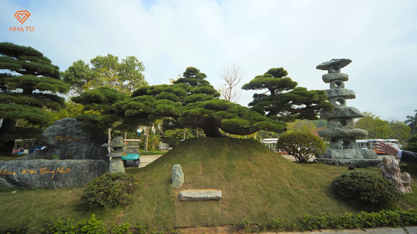 Khu vườn tiền tỷ, độc đáo trong các căn biệt thự: Những chiếc đèn đá ngoại nhập hơn 100 năm tuổi, hồ cá koi là điều không thể thiếu - Ảnh 7. Khu vườn tiền tỷ, độc đáo trong các căn biệt thự: Những chiếc đèn đá ngoại nhập hơn 100 năm tuổi, hồ cá koi là điều không thể thiếu - Ảnh 7.