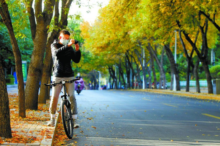 Trung Quốc có 1 loài cây toàn thân là "vật báu", được ưa chuộng từ xa xưa; Việt Nam cũng có những ít người biết - Ảnh 2.