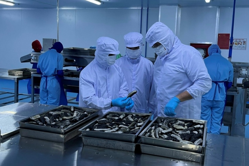 Sinh vật bị khai thác cạn kiệt ở Trung Quốc vì "cơn khát" của dân sành ăn: Việt Nam đang dẫn đầu thế giới về công nghệ sản xuất giống - Ảnh 4.