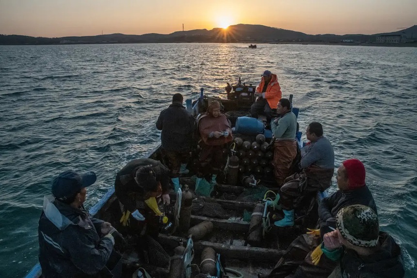 Sinh vật bị khai thác cạn kiệt ở Trung Quốc vì "cơn khát" của dân sành ăn: Việt Nam đang dẫn đầu thế giới về công nghệ sản xuất giống - Ảnh 2.