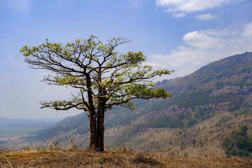'Gương mặt đại ngàn' - Mùa Lễ hội Tây Nguyên 2023 - Ảnh 1.