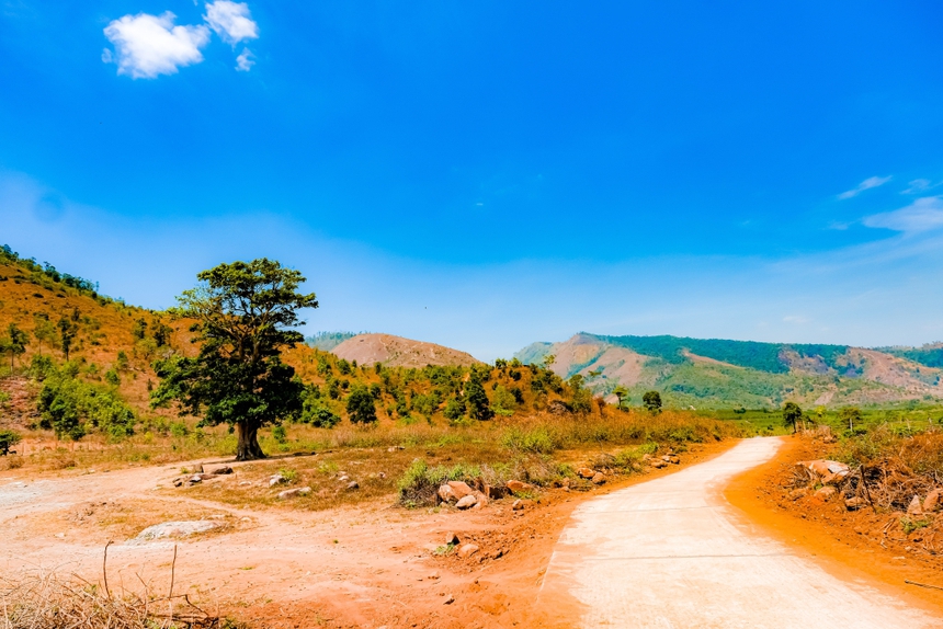 'Gương mặt đại ngàn' - Mùa Lễ hội Tây Nguyên 2023 - Ảnh 2.