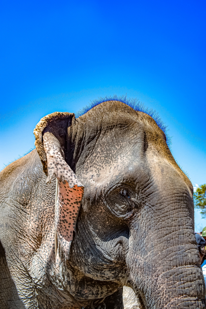 'Gương mặt đại ngàn' - Mùa Lễ hội Tây Nguyên 2023 - Ảnh 18.