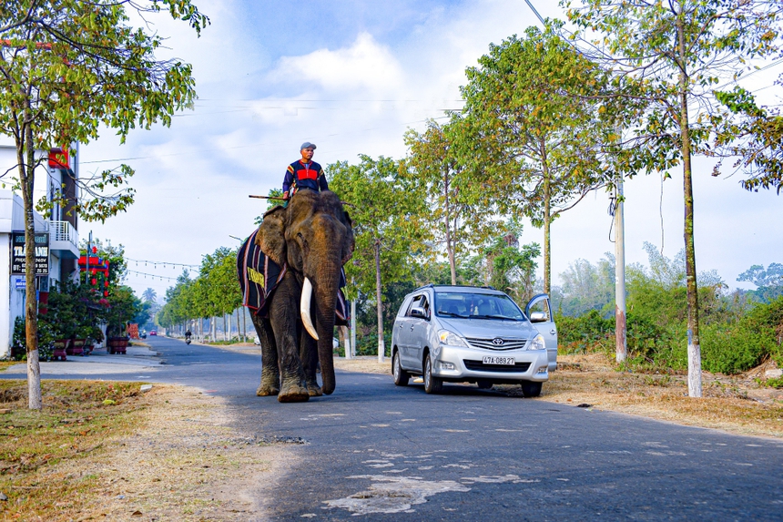 'Gương mặt đại ngàn' - Mùa Lễ hội Tây Nguyên 2023 - Ảnh 20.