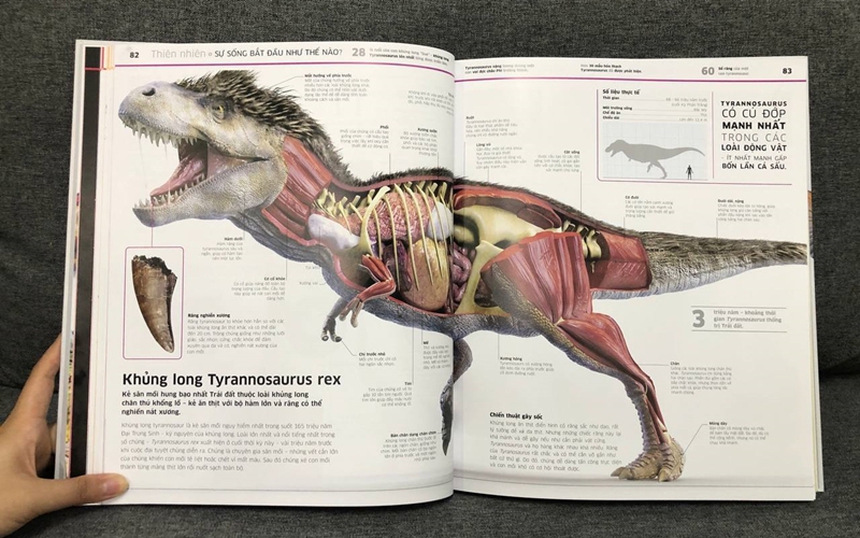 Tái bản bộ Bách khoa thư 'Tri thức về vạn vật' - Ảnh 3.