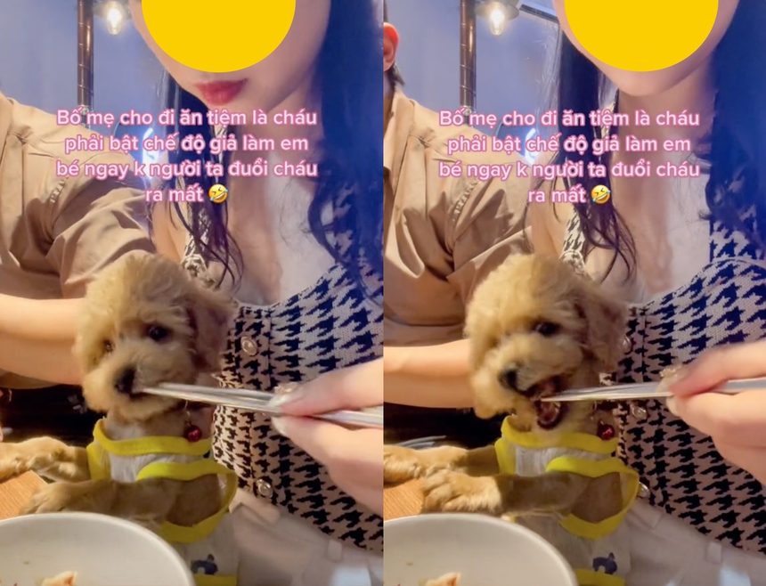 Ngồi giữa quán dùng đũa gắp đồ ăn cho cún cưng, cô gái khiến dân tình phẫn nộ: "Thế này thì ai dám ăn ở đấy nữa"?  - Ảnh 2.
