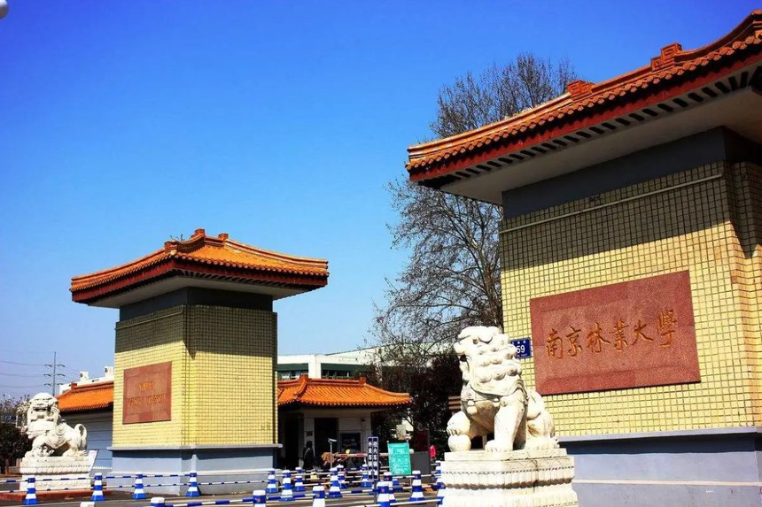 Một trường đại học ở Nam Kinh tuyển nhân viên với lương chỉ hơn 6 triệu đồng nhưng có tới 2000 ứng viên, tỷ lệ chọi lên tới 1:1000, công việc gì mà hot vậy? - Ảnh 2.