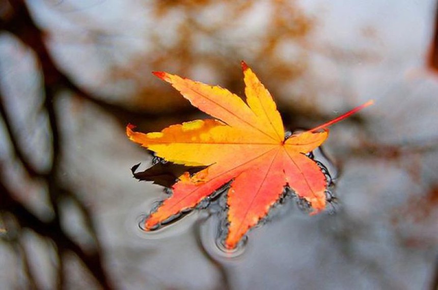 Những điểm thường thấy của người KHÓ NGHÈO: Nghiện dọn nhà!  - Ảnh 4.