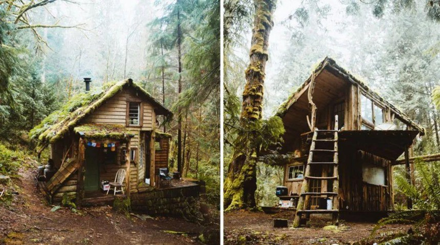 Bỏ việc, vợ chồng trẻ vào rừng ‘nuôi dưỡng tâm hồn’: Xây nhà gỗ 8m2, sống ‘lộ thiên’ nhưng đổi lại 1 điều quý báu hơn cả - Ảnh 1.