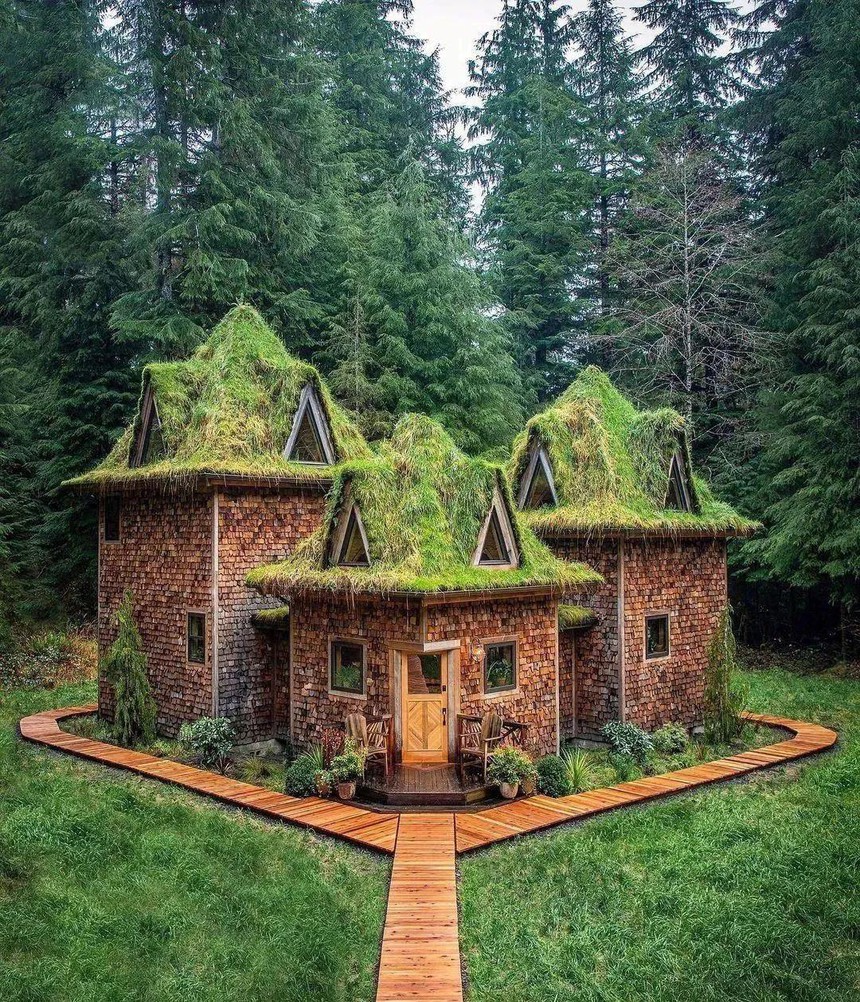 Bỏ việc, vợ chồng trẻ vào rừng ‘nuôi dưỡng tâm hồn’: Xây nhà gỗ 8m2, sống ‘lộ thiên’ nhưng đổi lại 1 điều quý báu hơn cả - Ảnh 5.