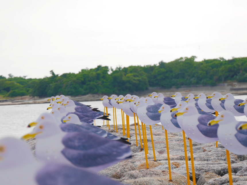 Vượt sóng tới 3 hòn đảo thanh bình tuyệt đẹp ở Aichi: Chốn dừng chân chữa lành thân - tâm - trí  - Ảnh 3.