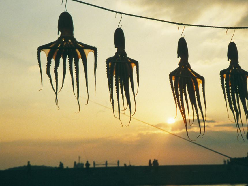 Vượt sóng tới 3 hòn đảo thanh bình tuyệt đẹp ở Aichi: Chốn dừng chân chữa lành thân - tâm - trí  - Ảnh 5.