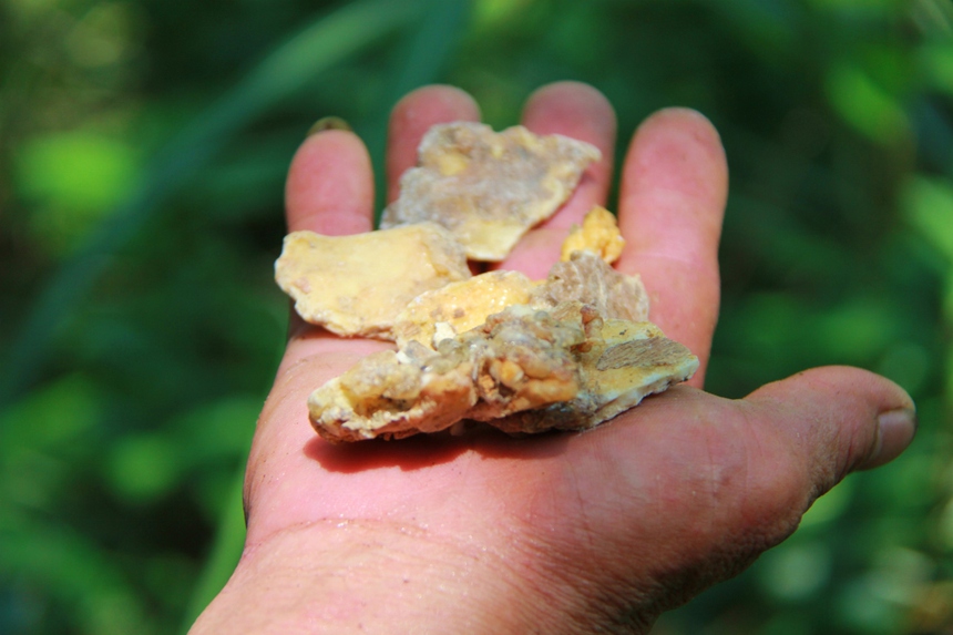 Báu vật sản sinh ra ‘vàng trắng’ của Việt Nam khiến người Trung Quốc trầm trồ: Hàng Việt là số 1! - Ảnh 2.